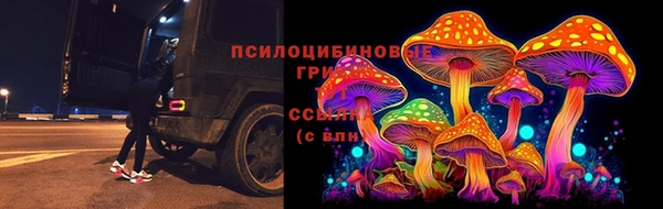 шишки Абинск